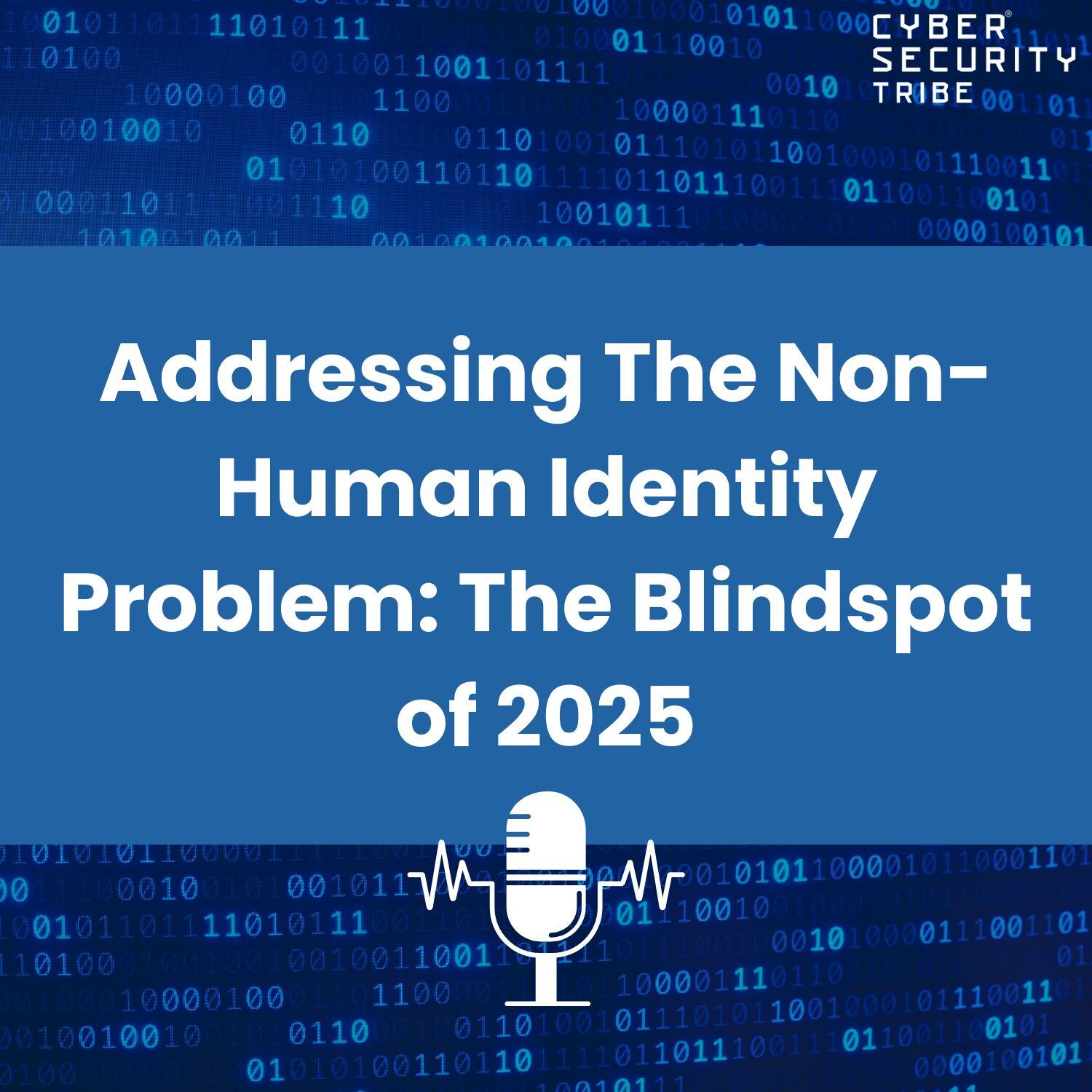 Addressing The Non-Human Identity Problem: The Blindspot of 2025