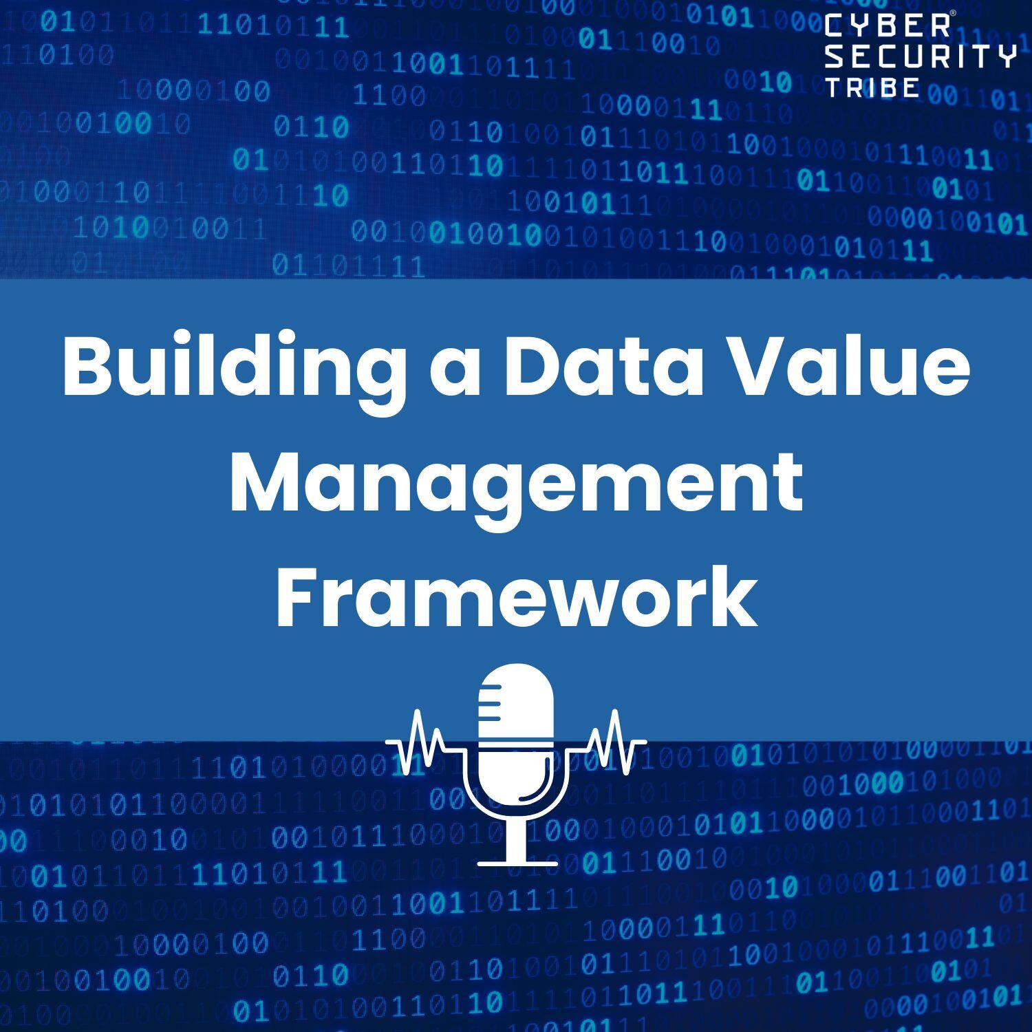 Building a Data Value Management Framework